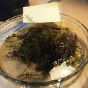14slender_waterweed_elodea_mix_ques2