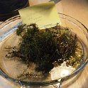 14slender_waterweed_elodea_mix_ques