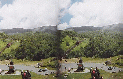 mwrr3d2b.GIF (66.9k)
